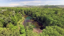 Altrheinarme und Auw&auml;lder wurden durch die Kanalisierung des Rheins vom Fluss abgeschnitten. Grundwasserquellen halten sie trotzdem am Leben.