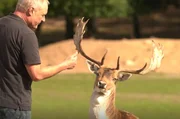 W&ouml;lfe heulen, Hirsche r&ouml;hren, der Ziegenbock Egon meckert, der Muffelbock liegt g&auml;hnend unterm Baum und Diana, der Seeadler, l&auml;uft lieber statt zu fliegen. Ein Besuch im Wildpark Johannism&uuml;hle mit Tanzb&auml;ren, Nachteulen und Platzhirschen. - Wildpark Johannism&uuml;hle.