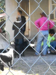 Tia, Twins, and Marcel check out Virgie's property.