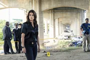 Missy Peregrym as Special Agent Maggie Bell.