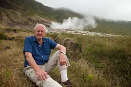 Anhand beeindruckender Detailaufnahmen erz&auml;hlt David Attenborough die Entstehung der Galapagosinseln./Anhand beeindruckender Detailaufnahmen erz&auml;hlt David Attenborough die Entstehung der Galapagosinseln. Die Inbesitznahme des Archipels durch verschiedenste Tier- und Pflanzenarten ist eine packende Geschichte seltsamer Verhaltensweisen, genetischer Innovationsspr&uuml;nge und scharfen Wettbewerbs. Dabei st&ouml;&szlig;t das Kamerateam auf im Ozean schwimmende Reptilien, flugunf&auml;hige V&ouml;gel sowie Blumen von monstr&ouml;sen Ausma&szlig;en. Sie alle m&uuml;ssen sich immer wieder an eine Umwelt anpassen, die unter massiven geologischen und klimatischen Einfl&uuml;ssen steht.