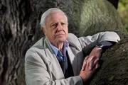 Sir David Attenborough erforscht die Pflanzenwelt und zeigt sie aus einer v&ouml;llig neuen Perspektive./Sir David Attenborough erforscht die Pflanzenwelt und zeigt sie aus einer v&ouml;llig neuen Perspektive.