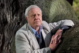 Sir David Attenborough erforscht die Pflanzenwelt und zeigt sie aus einer v&ouml;llig neuen Perspektive./Sir David Attenborough erforscht die Pflanzenwelt und zeigt sie aus einer v&ouml;llig neuen Perspektive.