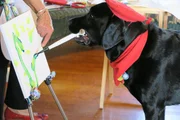 Dagger the Labrador holding paintbrush in his mouth painting a canvas.