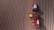 Kartoffelbauern bei der Ernte.