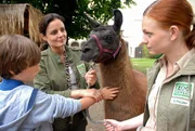 Lama Horst als Therapeut. Dr. Susanne Mertens (Elisabeth Lanz, Mitte) und ihre Assistentin Anett (Anna Bertheau) hoffen, dass die Begegnung mit dem Tier dem traumatisierten David (Max Schmuckert) helfen wird.