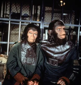 Die fremdartigen Affenwesen Cornelius (Roddy McDowall, r.) und Zira (Kim Hunter, l.) sind zun&auml;chst eine Sensation und werden von den Erdenbewohnern herzlich aufgenommen. Das &auml;ndert sich schlagartig, als bekannt wird, dass Zira Nachwuchs erwartet. Regierung und Wissenschaft sehen den Fortbestand der Menschheit bedroht ...
