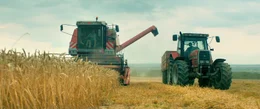 Sohn Thomas (Anthony Bajon, r) erntet zusammen mit seinem Vater Pierre (Guillaume Canet) das Korn, welches als Futter f&uuml;r die H&uuml;hner bestimmt ist.; WDR Fernsehen DAS LAND MEINES VATERS, Spielfilm Frankreich/Belgien, 2019 Buch und Regie Edouard Bergeon, am Donnerstag (17.10.24) um 23:50 Uhr. Sohn Thomas (Anthony Bajon, r) erntet zusammen mit seinem Vater Pierre (Guillaume Canet) das Korn, welches als Futter f&uuml;r die H&uuml;hner bestimmt ist. &copy; WDR/Nord-Quest-Films, honorarfrei - Verwendung gem&auml;&szlig; der AGB im engen inhaltlichen, redaktionellen Zusammenhang mit genannter WDR-Sendung bei Nennung "Bild: WDR/Nord-Quest-Films" (S2+). WDR Kommunikation/Redaktion Bild, K&ouml;ln, Tel: 0221/220 -7132 oder -7133, Fax: -777132, bildkommunikation@wdr.de