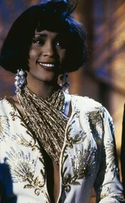 Als Rachel (Whitney Houston) f&uuml;r den "Oscar" nominiert wird, bef&uuml;rchtet Frank Farmer, dass auch der Killer bei der Preisverleihung anwesend sein wird.