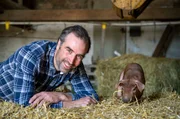 Landwirt Nikolas Weber vom Oberschuirshof in Essen z&uuml;chtet seit 2014 reinrassige Iberico-Schweine, die von Natur aus langsam wachsen. Au&szlig;erdem leben dort Schafe, Ziegen, Legehennen...