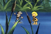 Der Wasserläufer will mit Maja tanzen. Der Wasserläufer will mit Maja tanzen.