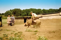 Max (Konstantin Kaucher, r.) zeigt seinem Bruder Leo (Karl Alexander Seidel, M.) und Emma (Zo&euml; Charlotte Mannhardt, l.), wie gut er auf einem Schwein reiten kann. Das soll ihm erst einmal jemand nachmachen.