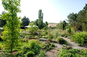 Rheinhessen: der gro&szlig;e naturnahe Staudengarten von Gastgeber Markus Gai&szlig;l.