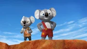Blinky Bill - Das Meer der wei&szlig;en Drachen - Blinky Bill - Das Meer der wei&szlig;en Drachen 5 Das Koala-M&auml;dchen Katie ist das Leben in Freiheit nicht gew&ouml;hnt. Blinky zeigt ihr die Weiten des Outbacks.