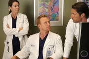 Alex versucht, das Richtige zu tun, was sich aber schwierig gestaltet, w&auml;hrend sich Owen (Kevin McKidd, M.), Meredith (Ellen Pompeo, l.) und Nathan (Martin Henderson, r.) um Polly k&uuml;mmern, die nach einem missgl&uuml;ckten Fallschirmsprung ins Krankenhaus eingeliefert wurde ...