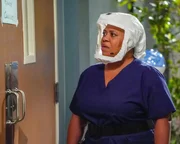 Dr. Miranda Bailey (Chandra Wilson)