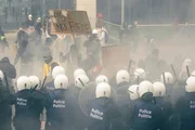 Aktivisten demonstrieren in Br&uuml;ssel f&uuml;r ein Ende der Umweltzerst&ouml;rung. Dabei geraten sie mit der Polizei aneinander.