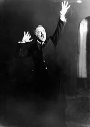 Ein stechender Blick, theatralische Posen: Bilder aus dem Jahr 1925 zeigen, wie Adolf Hitler schon sehr fr&uuml;h seine Auftritte probte.