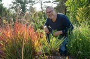 Die vierte Gartenparty steigt in Rheinhessen. Markus Gai&szlig;ls Herz schl&auml;gt f&uuml;r gro&szlig;e naturnahe Staudenpflanzungen, in die man komplett eintauchen kann.