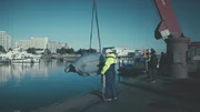 Drohnen gibt es nicht nur in der Luft. Auch bei der Marine werden inzwischen Drohnen eingesetzt.