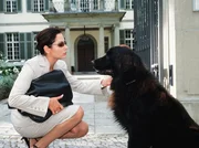 Um an einen Job zu kommen, macht die allein erziehende Pia Brandt (Simone Thomalla) auf Single. Hund Jack st&ouml;rt bei ihrem Bewerbungsgespr&auml;ch und muss leider draussen bleiben.