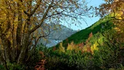 Die Lechtaler Alpen beeindrucken mit ihrer abwechslungsreichen Landschaft, ihrer vielf&auml;ltigen Flora und Fauna sowie mit zahlreichen Naturjuwelen. Im Bild: Hahntenjoch im Herbst.