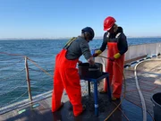 Schlickproben aus der L&uuml;becker Bucht - wie viel TNT steckt im Sediment?