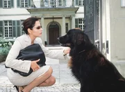 Um an einen Job zu kommen, macht die allein erziehende Pia Brandt (Simone Thomalla) auf Single. Hund Jack st&ouml;rt bei ihrem Bewerbungsgespr&auml;ch und muss leider draussen bleiben.