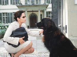 Um an einen Job zu kommen, macht die allein erziehende Pia Brandt (Simone Thomalla) auf Single. Hund Jack st&ouml;rt bei ihrem Bewerbungsgespr&auml;ch und muss leider draussen bleiben.