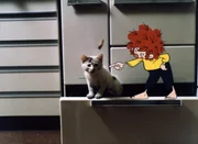 Meister Eder holt eine Katze, die sich verlaufen hat, in seine Werkstatt. Pumuckl ist eifers&uuml;chtig, weil sich Meister Eder mehr mit der kleinen Katze besch&auml;ftigt als mit ihm.