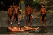 Aborigine