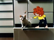 Pumuckl und das K&auml;tzchen.