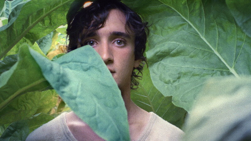 Glücklich wie Lazzaro