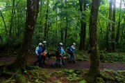 6 - Suicide Forest Jul 15, 2012 - Aokigahara, Japan - Suicide rescue and prevention workers assist a young woman trying to take her life.