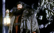 Rubeus Hagrid (Robbie Coltrane) ist der Wildh&uuml;ter von Hogwarts. Der Halbriese hat Harry in sein Herz geschlossen und wirft in Howarts ein Auge auf ihn.