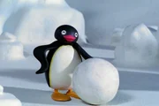Guetnachtgschichtli Pingu Staffel 5 Folge 26 Pingu &ndash; Ein Riesenschneeball. Pingu mit dem Riesenschneeball.