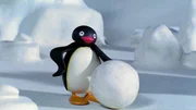 Pingu mit dem Riesenschneeball.