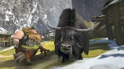 Die Yaks sind in den Streit getreten und geben keine Milch mehr.