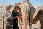 Die 13-j&auml;hrige Nazyirke (r.) soll das Kamelmelken von ihrer Mutter Salikha (l.) lernen.