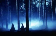 Als Strafe m&uuml;ssen Draco (Tom Felton) und Harry (Daniel Radcliffe) mit Hagrid in den Verbotenen Wald, um herauszufinden, was dort sein Unwesen treibt.