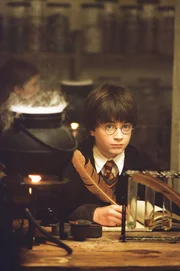 Schon in Harry Potters (Daniel Radcliffe) erstem Jahr an Hogwarts wird sein Abenteuersinn geweckt. Auch wenn er erst langsam realisiert, was es bedeutet ein junger Magier zu sein, kommt er schon bald einer finsteren Verschw&ouml;rung auf die Schliche und kann gerade noch verhindern, dass der &bdquo;Stein der Weisen&ldquo; in die falschen H&auml;nde ger&auml;t.