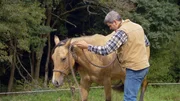 "Honey" und Bernd Hackl in Michelsneukirchen beim Training.