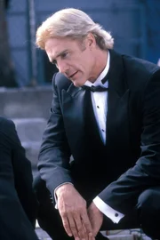 Steve Sloan (Barry Van Dyke)