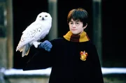 Harry Potter (Daniel Radcliffe) erh&auml;lt einen geheimnisvollen Brief, der ihm von einer Eule zugestellt wird.