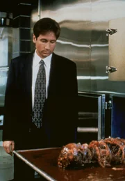 Fox Mulder (David Duchovny)