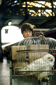 Am Londoner Bahnhof &bdquo;Kings Cross&ldquo; sucht Harry (Daniel Radcliffe) mit seiner Eule Hedwig das Gleis Neundreiviertel. Kein Wunder, dass er es nicht auf Anhieb findet.