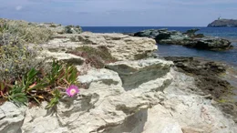 Cap Corse Landschaft.