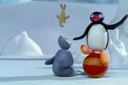 Guetnachtgschichtli Pingu Staffel 5 Folge 22 Pingu &ndash; Balanceakt. Pingu und Robby beim Balancieren.