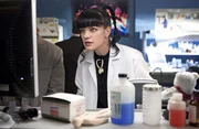 Gibt alles, um einen neuen Fall aufzudecken: Abby (Pauley Perrette) ...
