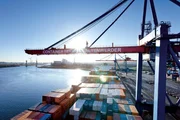 Die Einführung des Containers Ende der 50er Jahre hat die Handelsschifffahrt und den Hamburger Hafen tiefgreifend verändert. Die Einführung des Containers Ende der 50er Jahre hat die Handelsschifffahrt und den Hamburger Hafen tiefgreifend verändert.